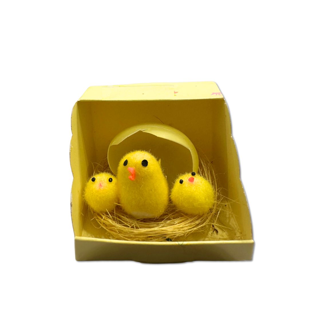 NEW BORN EASTER CHICKS 619