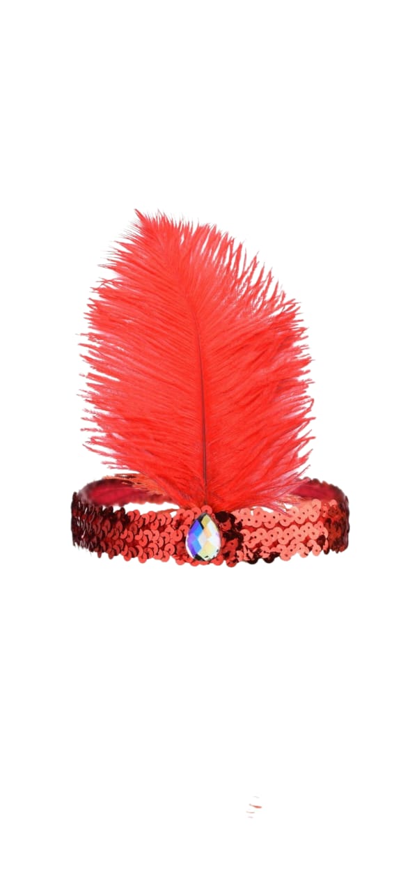 FEATHER HEADBAND