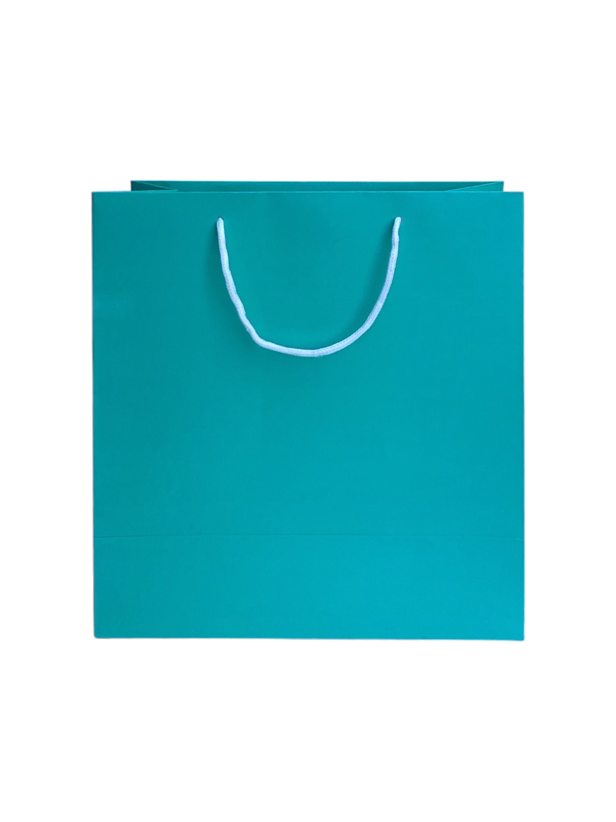 MINT FREEN GIFT BAG
