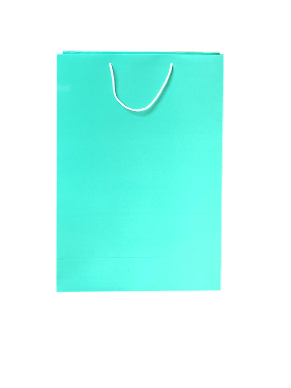 MINT GREEN LONG GIFT BAG