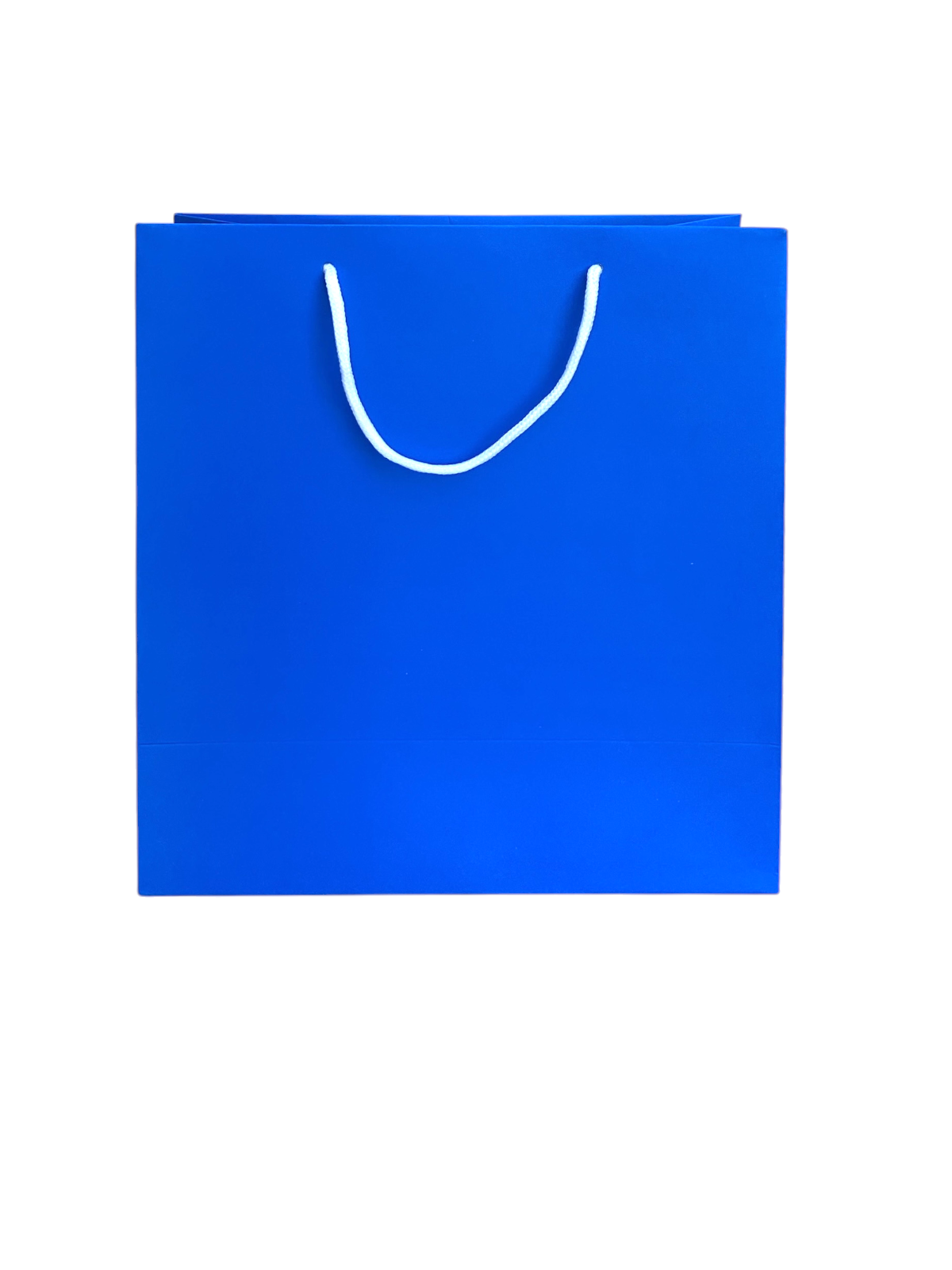 BLUE GIFT BAG