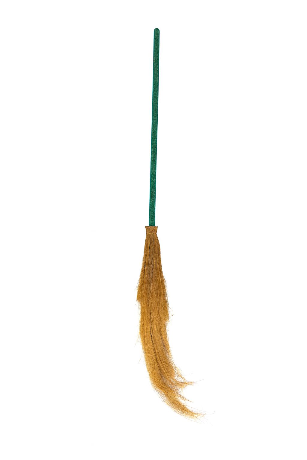 Witch Broom