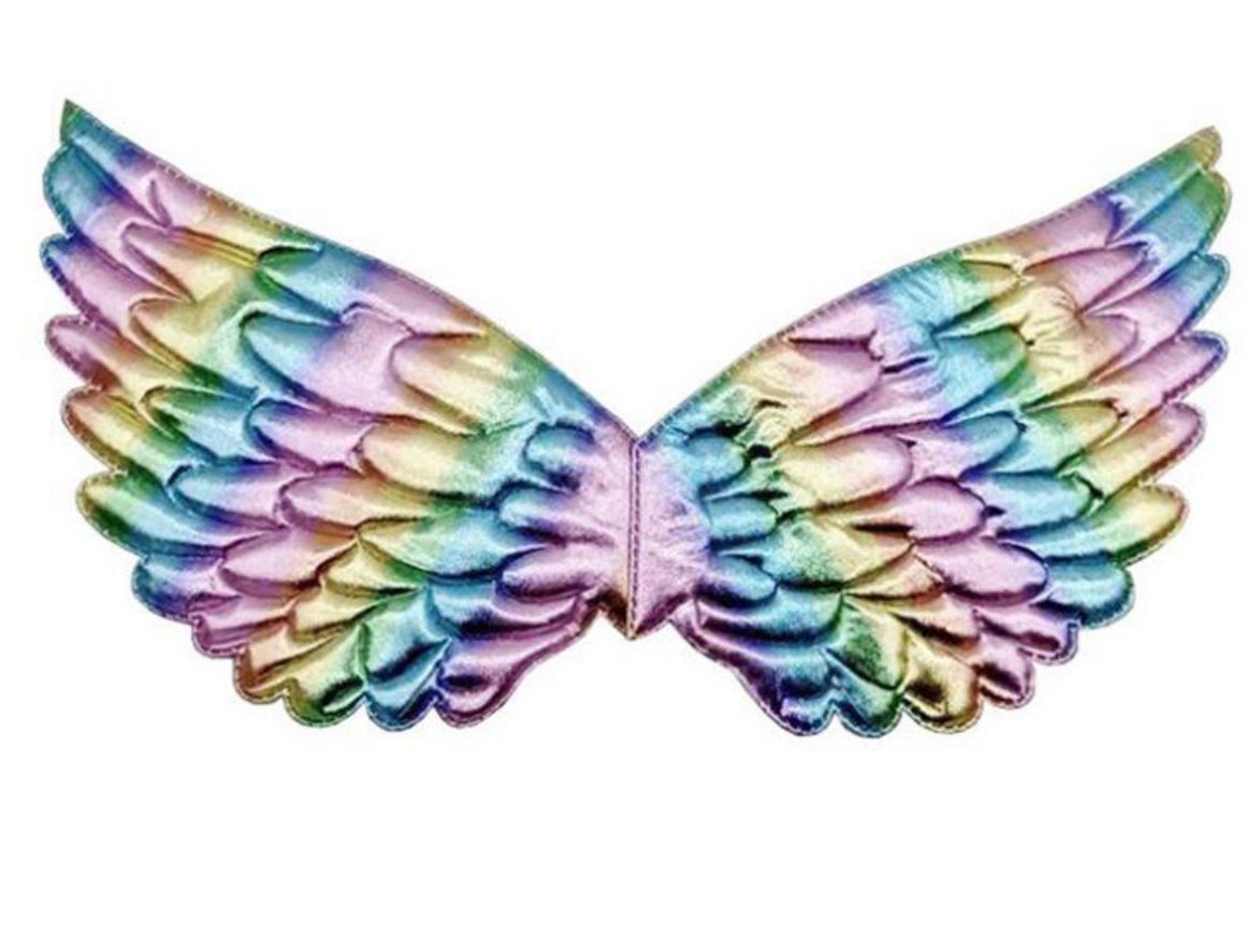 SHINY WINGS