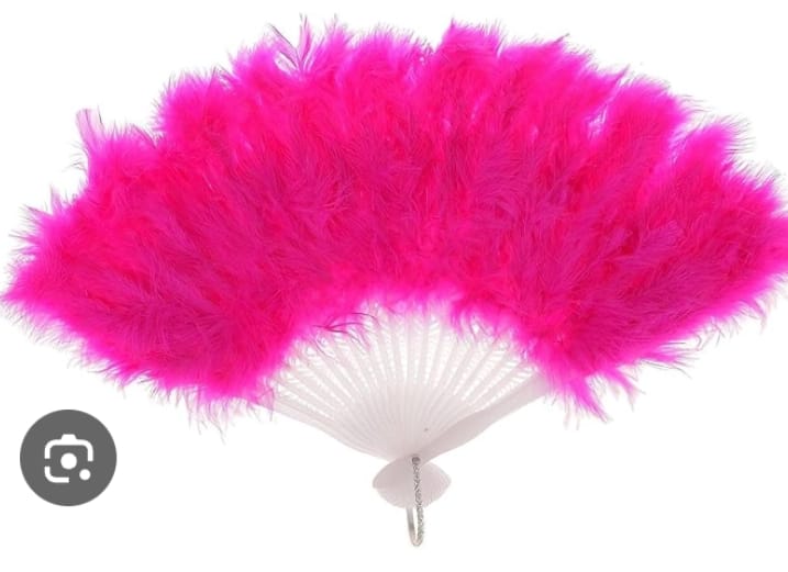 FEATHER FAN HOTPINK