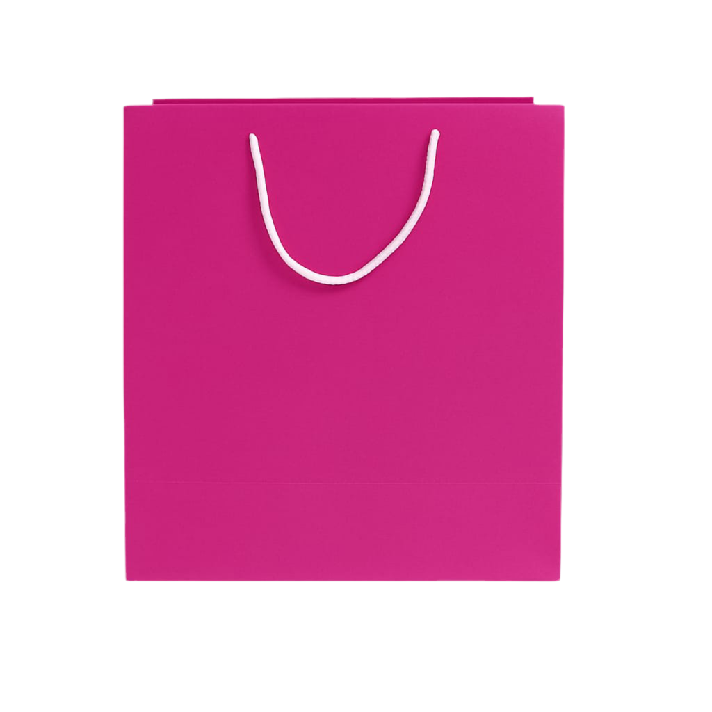 FUCHIA GIFT BAG