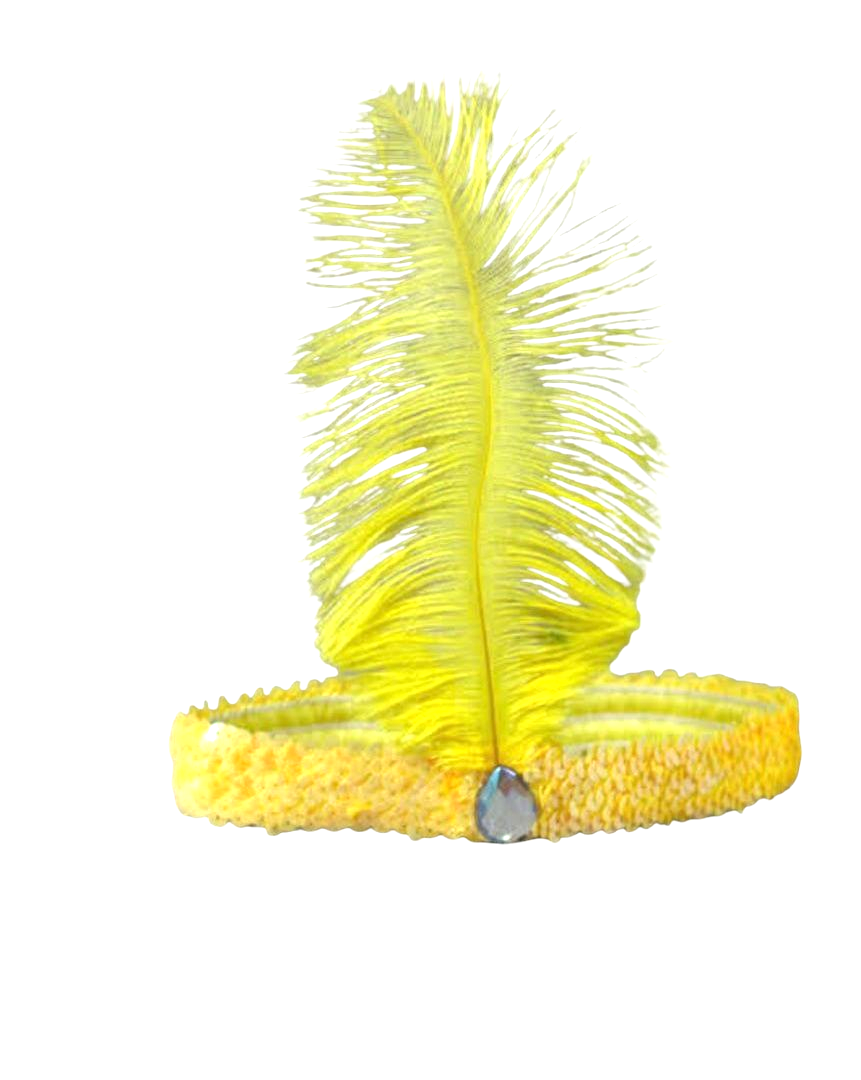 FEATHER HEADBAND