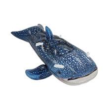 Whale Shark Ride on 1.93x1.22m